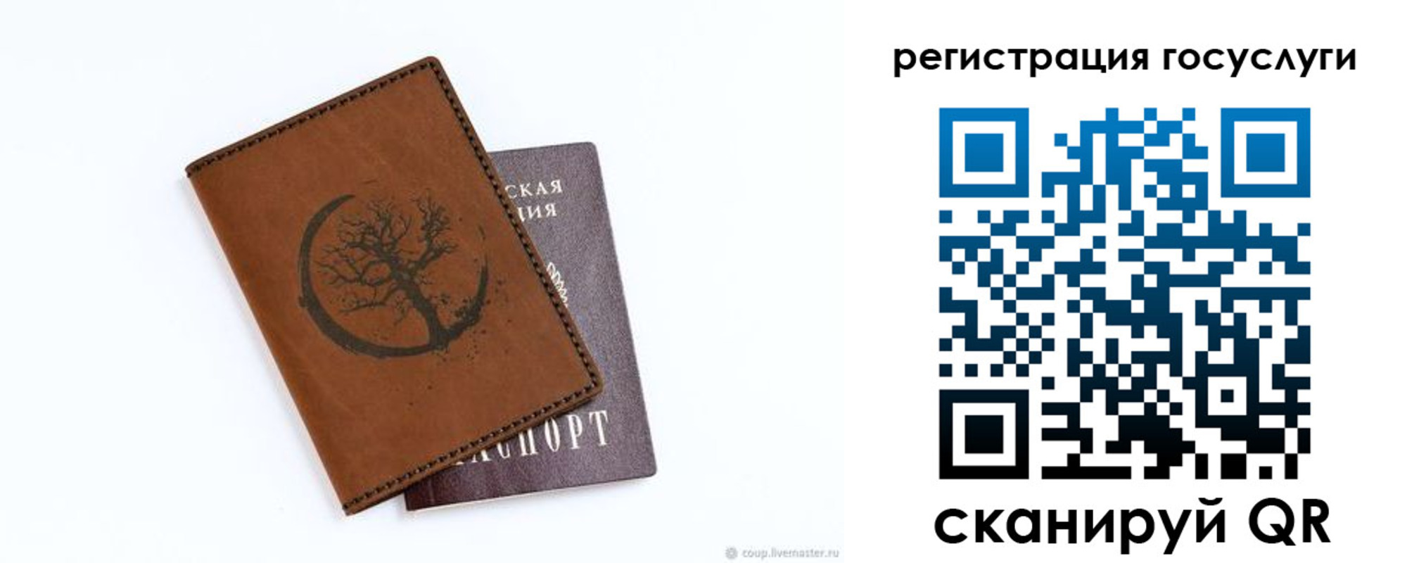 прописка ребенка в Королёве